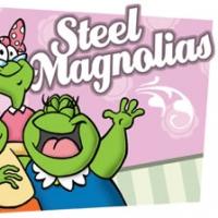 Windham Theatre Guild Presents STEEL MAGNOLIAS, Opens 2/5 Video
